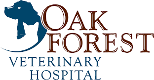 At sugar land pet hospital we target professional veterinary care with a practical approach to quality medicine. Pet Health Emergencies Houston Tx Oak Forest Veterinary Hospital