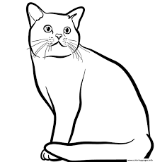 You want to see all of these halloween cats coloring pages. American Shorthair Cat Coloring Pages Printable