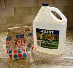 Homemade Weed Killer Roundup Vs Vinegar Vs Salt