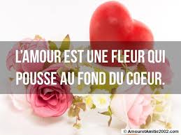 Proverbe amour - L'amour est une fleur