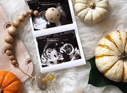 18 Creative Fall Pregnancy Announcement Ideas