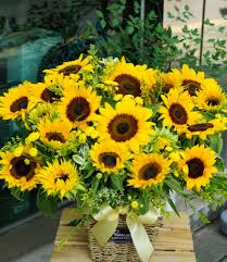 Poster designs · movie posters. Venta Sunflower Korean Movie Eng Sub Online En Stock