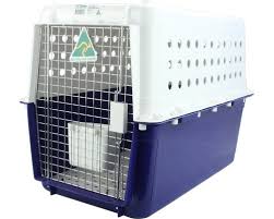 Is your pet traveling internationally? Compliant Pet Air Travel Crates Departure Pets