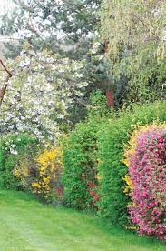 But sometimes, physical fences, such as wood or vinyl, can be costly and unsightly. C Christophe Fouquin Stock Adobe Com