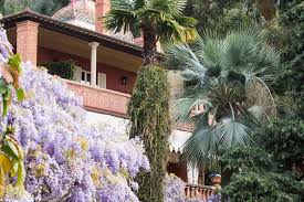 Aree protette, flora in liguria, parchi naturali, vegetazione liguria. Primavera In Liguria Le Fioriture Piu Belle Liguria Con Viaggiapiccoli
