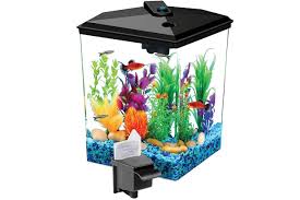 Aqua Culture Aquarium Starter Kit 1 Gallon Betta Fish Tank Led Light Filter Bowl In 2020 Betta Fish Tank Betta Aquarium Betta Fish