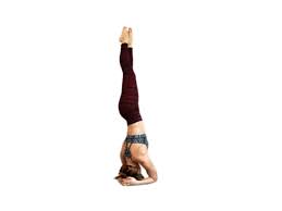 Remain in this pose for a few seconds. Parsva Sirsasana Revolving Headstand Side Headstand Fitzabout