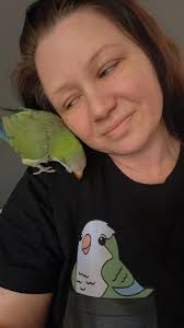 Here is a better picture of them.