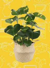 Jun 21, 2021 · money diaries are meant to reflect an individual's experience and do not necessarily reflect refinery29's point of view. Pin On Money Diaries