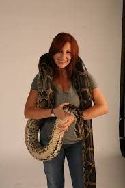 A fanatical animal rights activist (debbie gibson) releases giant pythons into the everglades, believing the wild animals should be set free. Mega Python Vs Gatoroid Images Ign