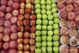 Apakah anda sedang menjalankan program diet dengan mengkonsumsi makanan yang sehat dan kaya nutrisi? 5 Buah Yang Bagus Untuk Diet Efektif Dan Mudah Didapat