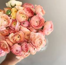 Peach Ranunculus Flowerdefault Title In 2020 Ranunculus Flowers Peach Ranunculus Bulb Flowers