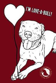 Hot Off The Press The Bay Lights Loakal And More Psprint Blog Foster Dog Humane Society Animal Rescue