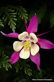 Pin On Natural Beauty