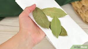 Storing the leaves in the pantry. 3 Ways To Use Bay Leaves Wikihow