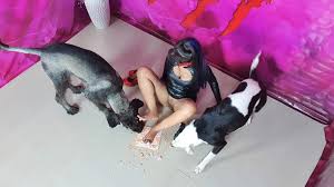 Take the Cake!” – ArtOfZoo – Home of Animal Porn