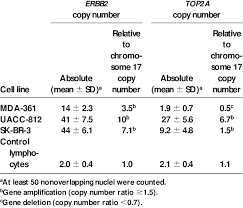 Risk seems greater when put in terms of relative risk. Absolute And Relative Copy Numbers Of Top2a And Erbb2 In Three Breast Download Scientific Diagram