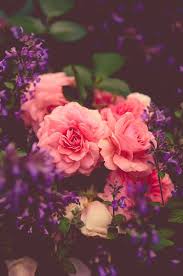 Rose Garden Photograph Vintage Floral Photograph Cottage Decor Pink Green Purple Blac Con Immagini Fotografia Floreale Bellissimi Fiori Carta Da Parati A Fiori