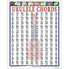 Amazon Com Walrus Productions Ukulele Chord Mini Chart