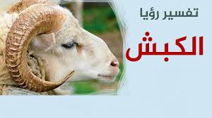 لبس الحزام في منام المرأة الحامل لديه من المعاني الكثير ، فالحزام الذهبي يدل على مولود ذكر و الحزام الفضي أو المصنوع من قماش ناعم يدل على مولودة أنثى و شراء الحزام في منام الحامل. ØªÙØ³ÙŠØ± Ø­Ù„Ù… ÙƒØ¨Ø´ Ø§Ø­Ø¶Ø§Ù† Ø§Ù„Ø­Ø¨