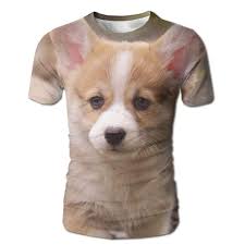 Amazon Com Mens T Shirt Corgi Puppy Short Sleeves Tee