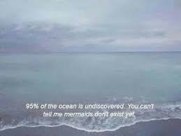 Personalize your car windows with stickers designed by independent artists. Aesthetic Ocean Tumblr Quotes Largest Wallpaper Portal