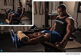 Image result for leg workout