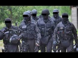 Image result for POLICIA E KOSOVES