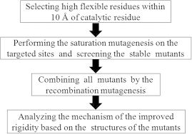 The Flow Chart Of The Acs Strategy To Improve Enzyme