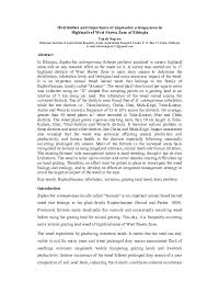 Image result for Euphorbia schimperiana