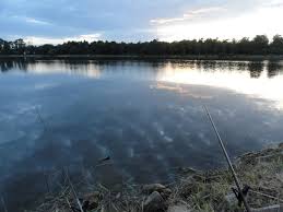 Varje år gör tillsynsmännen ett femtontal polisanmälningar. Rogle Dammar 60 Minuets With Paul Zentos Podcast Mix Expect To Hear Powerful Tracks Middle Ground