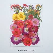 Qinren natural nail dried flower, mixed pressed dried flowers nail art dried flower 3d crystal rhinestone nail decals decor accessories for diy craft, cell phone case, card making, eyes body art. Wholesale Diy Flower Material Real Natural Dried Pressed Flowers For Phone Case And Nail Decoration Buy Pressed Flowers Dried Pressed Flowers Dried Pressed Flowers For Phone Case Product On Alibaba Com