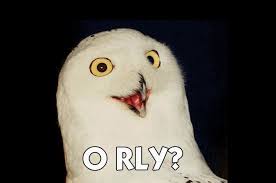 images?q=tbn:ANd9GcQnvL79B5LN2pjDnseer3Szs3cyX13iFGsvVm5JzaxFrQy3Sayb