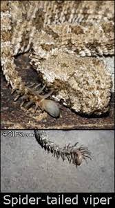 Diply Terrifying Pictures Creepy Pictures Scary