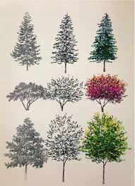 Tell Me What Your Story Is Take Me There Pine Tree Drawing Tree Drawing Tree Sketches