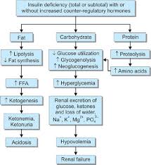 Diabetic ketoacidosis (dka) is a serious condition that can lead to diabetic coma (passing out for a long time) or even death. Jaypeedigital Ebook Reader