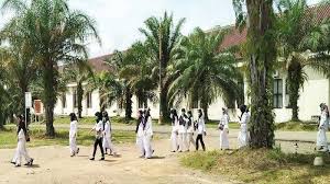 We did not find results for: 109 Tenaga Medis Di Rsud Ogan Ilir Dipecat Berapa Sebenarnya Gaji Mereka Ini Fakta Lengkapnya Halaman All Tribun Jateng