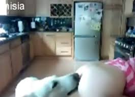 Encontradas na rua 177 vidios. Caseiro Videos Zoo Sexo Porn Tube Mais Popular Pagina 1
