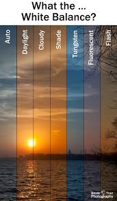 What The White Balance Photography Basics Digital Photography Techniques Photography Techniques