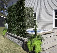 A single infected plant may spell demise for an entire row. Privacy Screens Plants Decor Crown Spas Pools