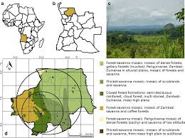 Image result for Oldfieldia macrocarpa