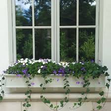 Maybe you would like to learn more about one of these? 60 Traditional Style Window Box With Vinca Vine Window Box Flowers Flower Window Window Box