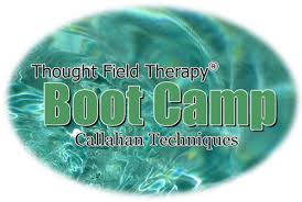 Tft Bootcamps Tapping Into Life