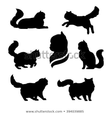 Persian Cat Icons And Silhouettes Jumping Running Sitting Lying Standing Going Cat Set Of Vector Black And White Pets A Cat Tattoo Small Cat Icon Cat Tattoo