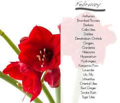 This period is full of life, light and colour. What Flowers Are Available In Season February Seasonal Flowers Tiger Lily Oriental Lily