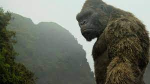 It is an entirely different type of filmmaking, a more true throwback to the original king kong in that it is less interested in deeper characterization and emotional themes than was jackson's king kong, and is far. Godzilla Vs Kong Leaked Footage Reveals Ape King S Growth Spurt