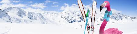 Location en dernière minute la moins chère : Vacances Au Ski Lastminute Com