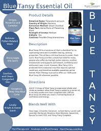 Top 5 Reasons You Need Blue Tansy Plant Therapy Essential Oils Blue Tansy Essential Oil Plant Therapy