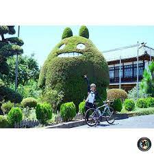 原寸大 トトロの植木があるこの場所は動物病院 神奈川県厚木市の石井どうぶつ病院のエントランスだそうですが 写真におさめたい場所ですね 石井どうぶつ病院 トトロ trekbikes betterwithbikes 今週の cyclography 厚木 トトロ