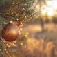Aussie Bush Christmas event image
